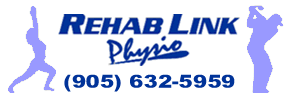 Rehab Link Logo